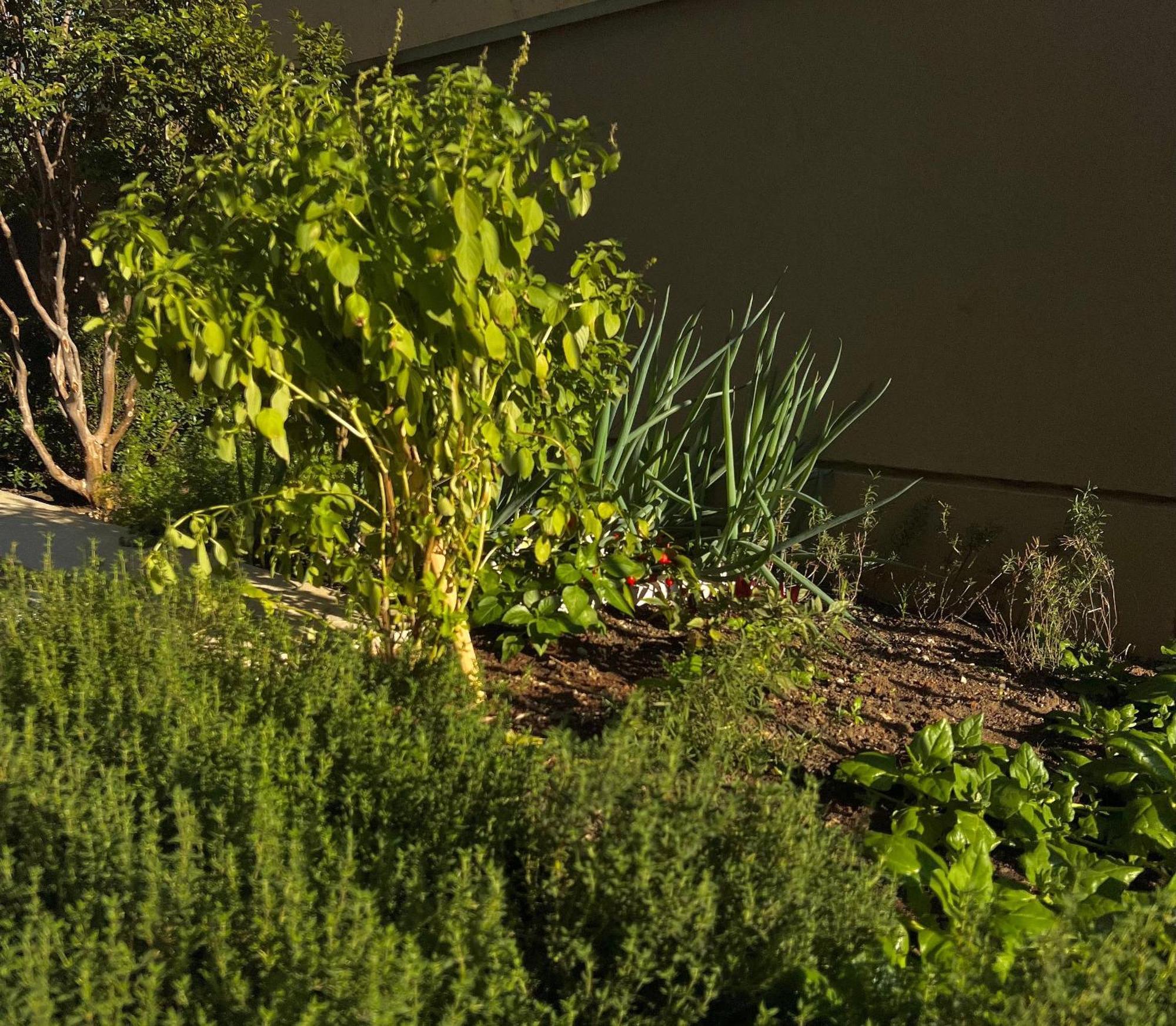 1402 Vnma Studio - Jardins - Proximo Oscar Freire Daire Sao Paulo Dış mekan fotoğraf
